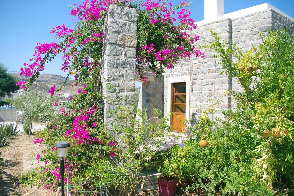 Villa Patmos Netia 斯科拉 外观 照片