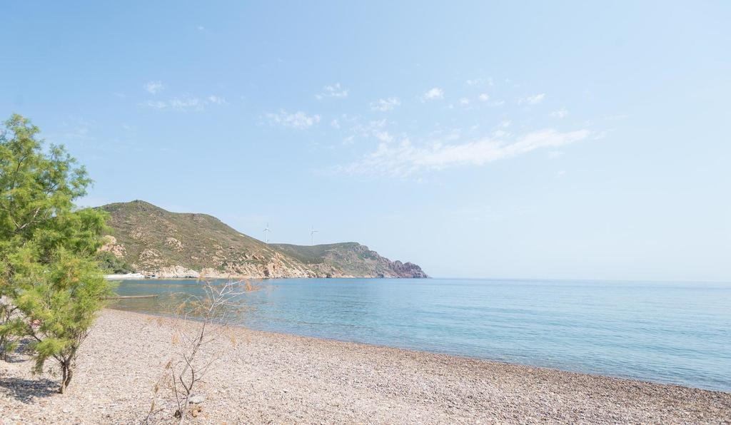 Villa Patmos Netia 斯科拉 外观 照片