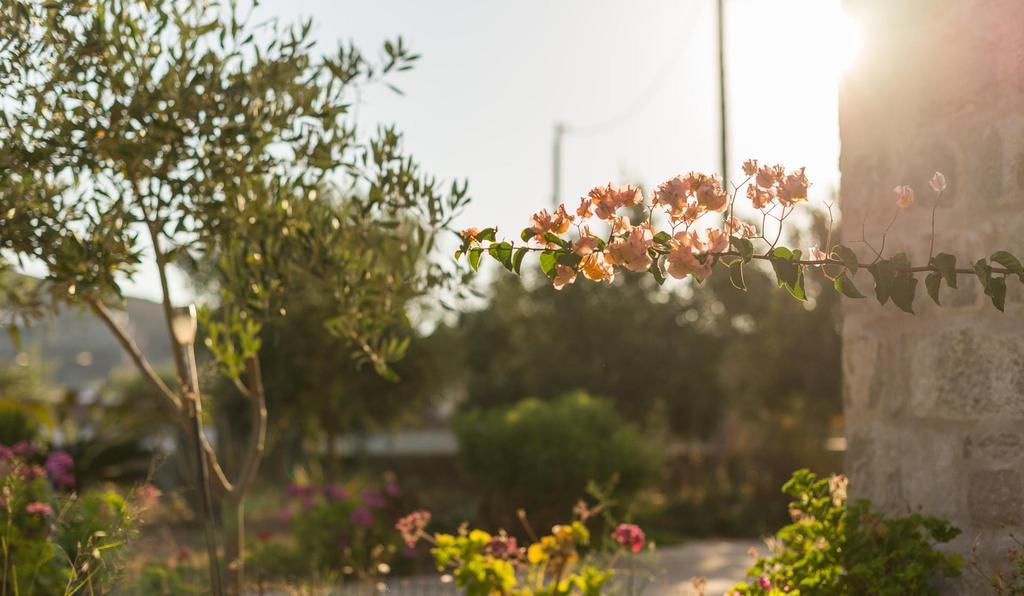 Villa Patmos Netia 斯科拉 外观 照片