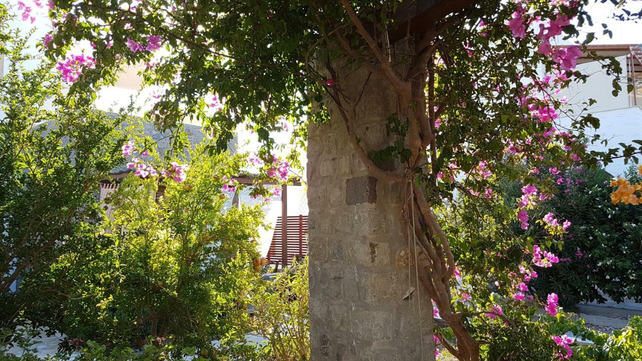 Villa Patmos Netia 斯科拉 外观 照片